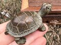 Copper turtle statue tank decor Tea Pet Collectible Feng Shui Ornaments Figurine Miniatures Animals  tortoise longevity turtle crafts DE0211