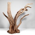18.5" Tall Manzanita Aquarium Driftwood "Tree" for Aquascaping, Aquarium Driftwood, Bonsai, Terrariums, Reptiles, & Home D?cor