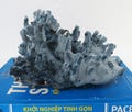 1.54lb 7.1'' Blue Coral, Natural Blue Coral Tree, Aquarium Decoration, Coral Reef Decor, Blue Coral Reef, Natural Sea Coral, Ocean Coral