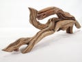 Aquarium Driftwood, (24?), Manzanita branch ready for aquascaping your fish tank decor or terrarium decor