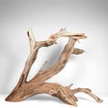 Huge 33" Manzanita Driftwood: Perfect for Aquascaping, Aquarium Driftwood, Fish Tank D?cor, Reptile Enclosures, Terrariums, Home D?cor