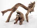 Small Aquarium Driftwood (2 pc set), Manzanita branch ready for aquascaping your fish tank decor or terrarium decor
