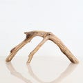 Manzanita 15" Branch, Narrow Aquascape Driftwood, Aquarium Arch Wood, Fish Tank Decor, Terrarium Driftwood