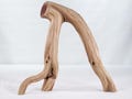 Manzanita Driftwood Branch, (13"), Unique decor perfect for terrarium or aquarium,  driftwood art, beach house decor