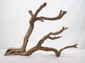 Aquarium Driftwood, (20?), Manzanita branch ready for aquascaping your fish tank decor or terrarium decor
